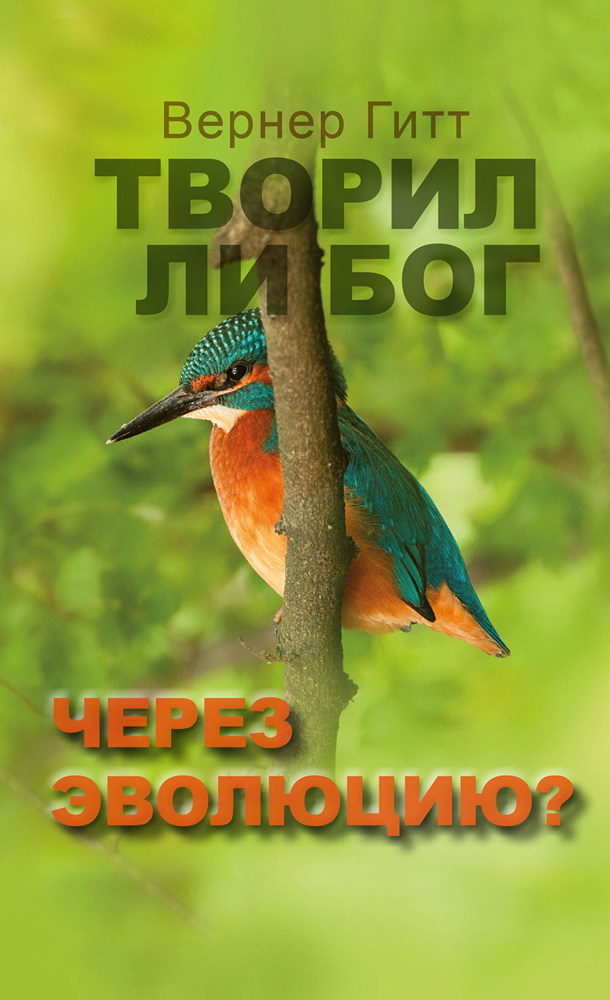 Russisch: Schuf Gott durch Evolution?