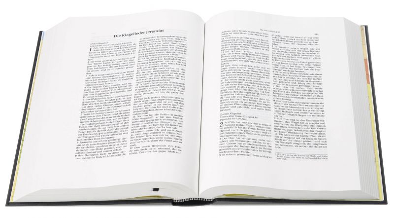 Schlachter 2000 - Schreibrandausgabe