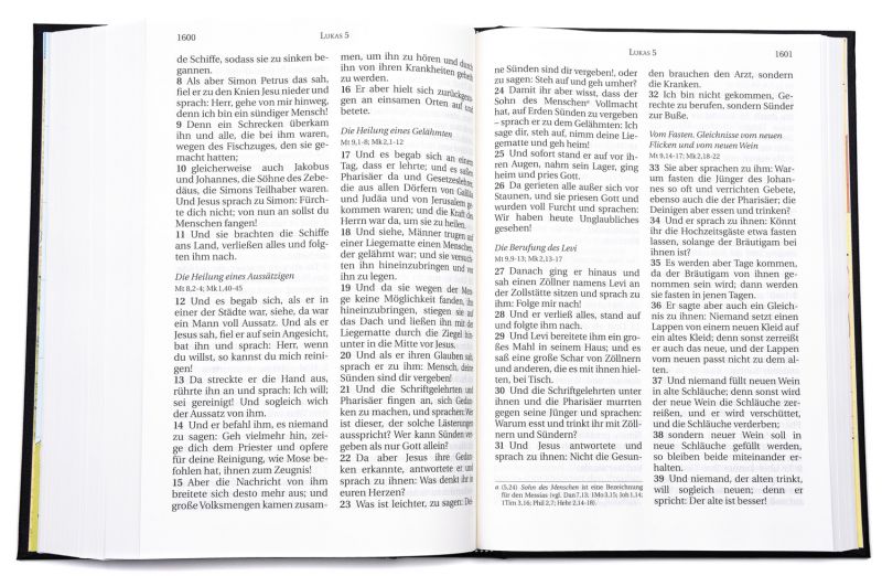 Schlachter 2000 - Großdruckausgabe